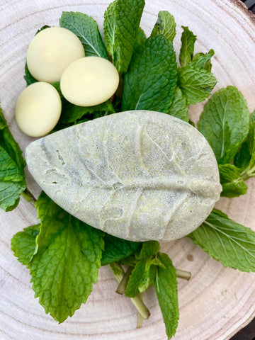 SCHAUMBART   80g mildes, rückfettendes Bartshampoo mit Spearmint-Duft